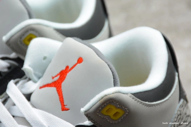 Rep LUCY Retro Grey 3 Cool CT8532-012 (2021) Air Jordan 0712